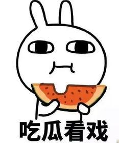 娱乐吃瓜酱相互体谅,相互体谅，共度美好时光